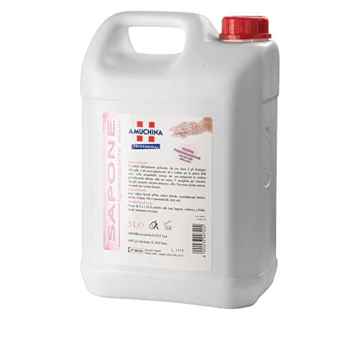Professional 91499 Sapone Igienizzante Mani, 5 L