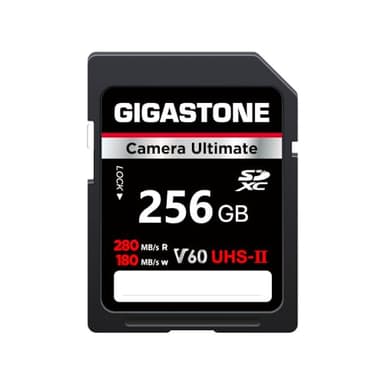 GIGASTONE UHS-II V60 256GB SD Card Camera Ultimate, Velocità fino a 280/180MB/s, U3 SDXC 4K Ultra HD UHD Video per DSLR Canon, Nikon, Sony, Pentax, Kodak, Panasonic, con 1 mini custodia