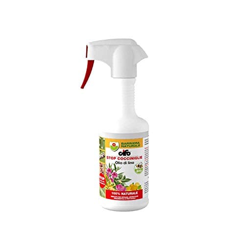 INSETTICIDA STOP COCCINIGLIE olio di lino CIFO 500 ml 100% NATURALE biologico AMDGarden