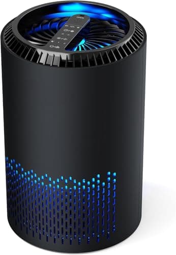QEXREED Purificatore d'aria anallergico, purificatore d'aria ambiente, filtro HEPA contro polline e muffa, purificatore d'aria con timer, diffusore di aromi per polvere e odori (nero)