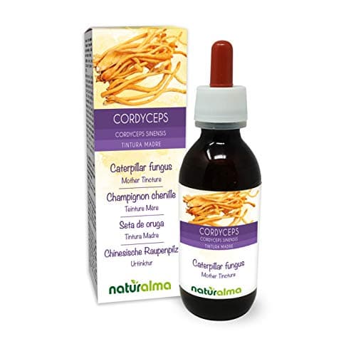 Cordyceps o Fungo bruco (Cordyceps sinensis o Ophiocordyceps sinensis) fungo Tintura Madre analcoolica Naturalma - Estratto liquido gocce 120 ml - Integratore alimentare - Vegano