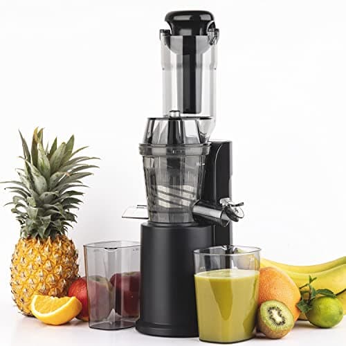 H.Koenig Estrattore di succo Verticale Compatto 0,8L GSX16 Acciaio Inox, Slow Juicer Vitamina+ Senza BPA, Ampio Beccuccio di Ingresso, Rotazione Lenta 60giri/min, Silenzioso, Sistema Inverso, 250W