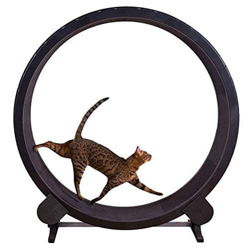 AWYLL Tapis roulant per Cani, Ruota per Esercizi per Gatti per Animali da Corsa Giocattolo Rotante per Gatti Silenzioso Tapis roulant per Gatti con Pista Antiscivolo per Esercizi Indoor per Gatti