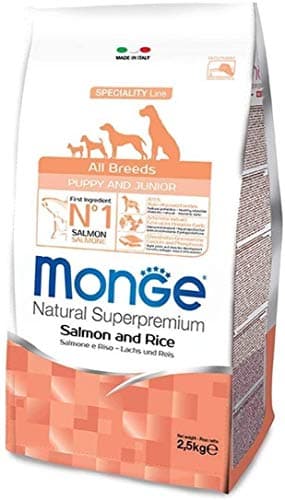 MONGE ALL BREED PUPPY & JUNIOR 12 KG (SALMONE E RISO) - Crocchette Super Premium al Salmone per cuccioli di cane, monoproteico, naturale al 100%