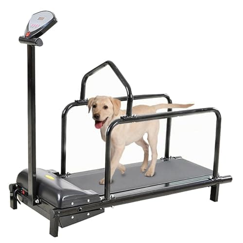 DAMIOO Tapis roulant per cani di taglia grande tapis roulant per cani di taglia media per cani di taglia piccola e media esercizio tapis roulant interno