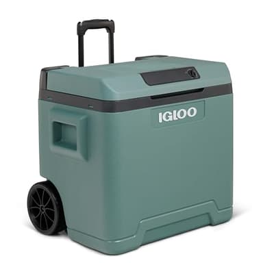 IGLOO IE42 Frigorifero Portatile Elettrico per Auto e Presa Elettrica, 42L, 12V e 230V