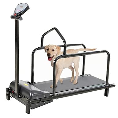 Tapis roulant per cani di taglia grande, macchina da corsa per cani di piccola e media taglia, tapis roulant da interno per cani di taglia media, tapis roulant per cani di taglia media