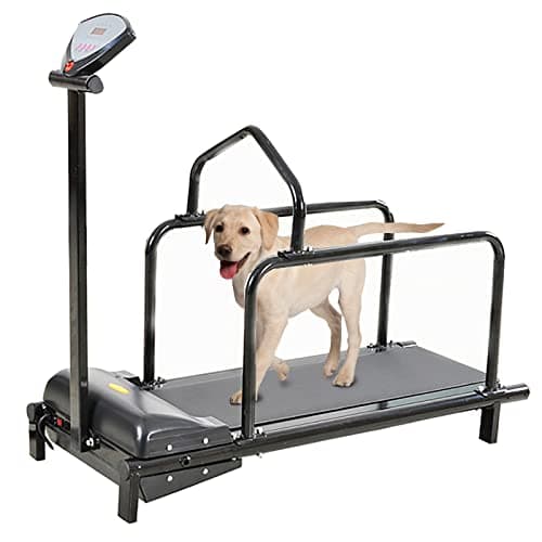 Tapis roulant per cani di taglia grande, tapis roulant per cani, tapis roulant per cani di taglia media, macchina da corsa per cani di piccola e media taglia, tapis roulant interno (colore: C100)