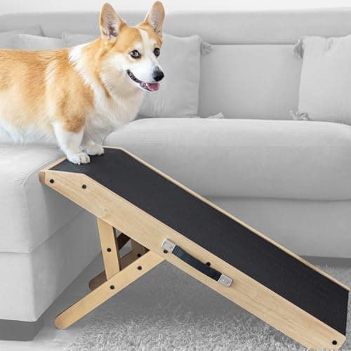 Rampa per Cani Piccoli o Grandi - Regolabile 18-53 cm - Per Letto e Divano - Legno di Betulla - La Piattaforma Si Collega Perfettamente - Rampa Pieghevole - Naturale
