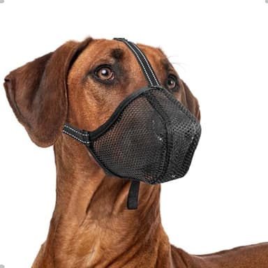 ILEPARK Museruola per Cani, Museruola a Rete Morbida Regolabile per Cuccioli di Cani di Piccola Media Grande Taglia, Copri Bocca Anti-Morso Anti-Masticare, Traspirante(M, Nero)