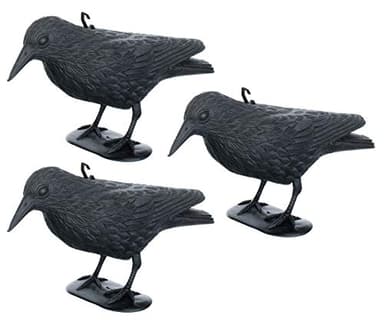 Brandsseller Corvo Nero in Plastica 36 x 20 cm Repellente per Piccioni Deterrente per Uccelli Contro Piccoli Uccelli e Piccioni Spaventatore per Animali - Set da 3