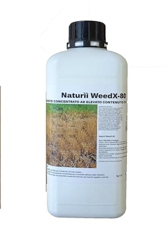 Erbicida concentrato WeedX-80, 1 kg, ad alto contenuto di acido acetico per viottoli e infestanti
