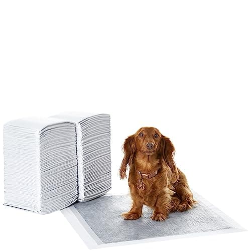 Amazon Basics Tappetini al carbone con controllo degli odori per l'addestramento di cani e cuccioli,prova di perdite con superficie ad asciugatura rapida,dimensione standard,confezione da 120,grigio