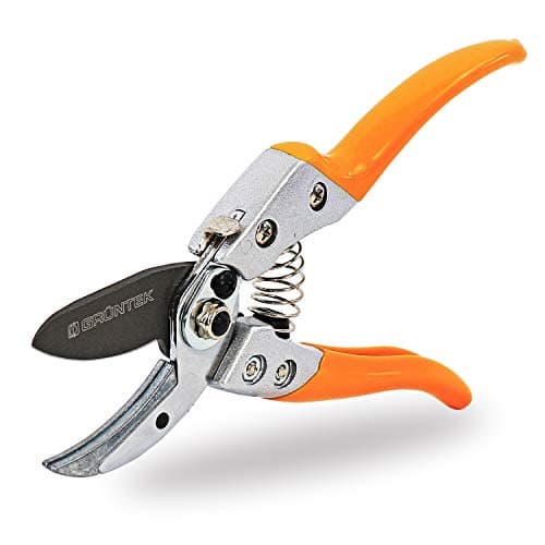 GRÜNTEK Forbici Cesoie Potatura Giardino a Incudine Professionali BUSSARD 20 cm. Forbice a Battente per Tagli Netti e precisi di Viti, Rami, Piante e Fiori
