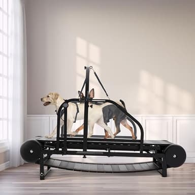 Tapis roulant per cani di taglia media, cani di taglia grande, rampa regolabile con pedometro, per esercizio fisico e vita sana e in forma degli animali domestici, slatmill per cani fino a 158,8 kg
