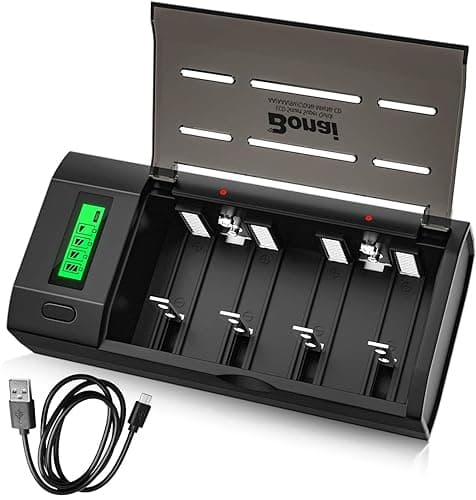 BONAI Caricabatterie Universale Pile Ricaricabili per AA/AAA/SC/C/D/9V Ni-MH Ni-Cd Batterie Caricatore Display LCD con Funzione di Scarica Connessioni Micro USB o Type-C