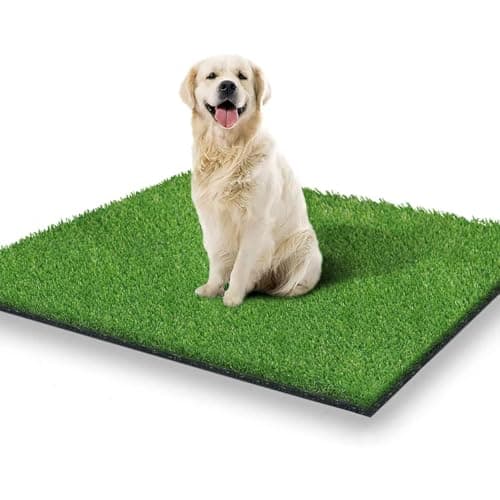 STARROAD-TIM 80 * 100CM Tappeto erboso Artificiale per Cani, per Interni ed Esterni, Erba Artificiale per Cani, vasino, terrazzo, Prato, Decorazione