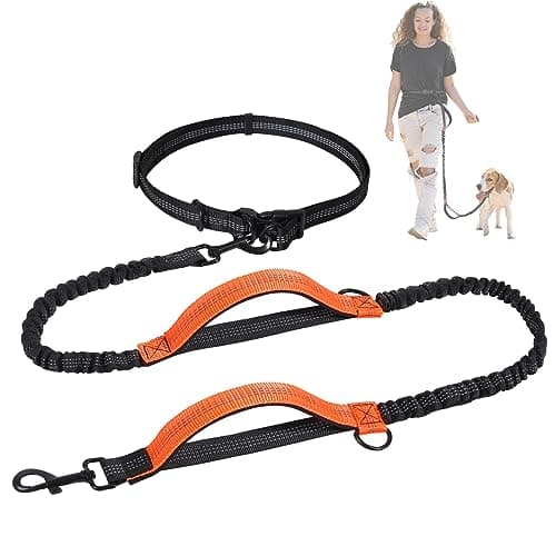Snocyo Guinzaglio da Jogging per Cani di Taglia Media e Grande, Elastico e Riflettente, Guinzaglio Retrattile con Doppio Manico e Cintura in Vita