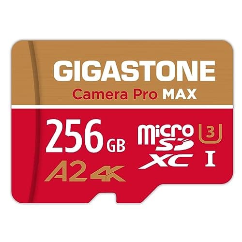 [5 Anni Recupero Dati Gratuito] GIGASTONE 256GB Scheda MicroSDXC, Camera Pro MAX, Scheda di Memoria A2 V30 per Gopro, Action Cam, 4K UHD Video, Fino a 130/85 MB/s, UHS-I U3 C10 con Adattatore