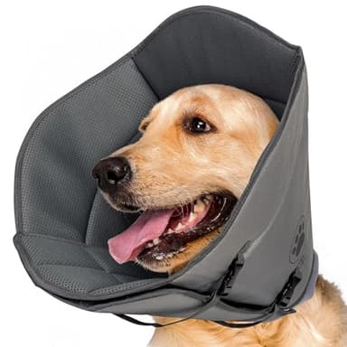 DKDDSSS Collare Elisabettiano Cane, Collare Protettivo Gonfiabile Elisabettiano per Cane e Gatto, Collare Protettivo Forma Cono per Cane Gatto, Regolabile Ferita Recupero Guarigione Collare Anti Morso