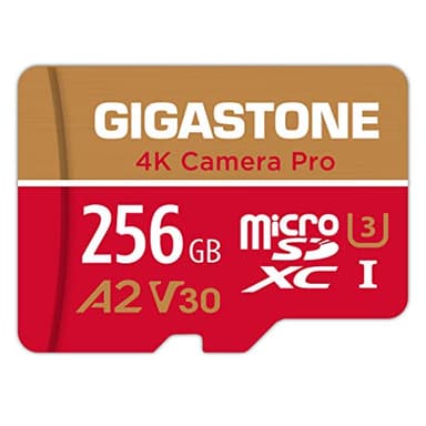 [5 Anni Recupero Dati Gratuito] GIGASTONE 256 GB Scheda di Memoria, Camera Pro, Velocità fino a 100/60 MB/s, per Gopro, DJI, Insta360, 4K Video, A2 V30 U3 MicroSDXC con Adattatore