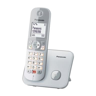 Panasonic KX-TG6851JTS Telefono Cordless Digitale, Unità Base e Ricevitore Singolo, ID Chiamante, Blocco Chiamate Indesiderate, Suoneria Categoria, Display LCD, Tastiera Illuminata, Argentato