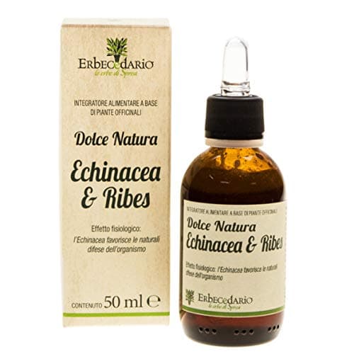 Dolce Natura Echinacea E Ribes Sciroppo Difese Immunitarie Bambini, Sciroppo per il Benessere di Naso e Gola, Sciroppo Naturale Per Bambini 1 Flacone 50ml