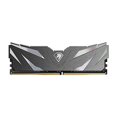 Netac DDR4 2666MHz 16GB, Memoria Desktop DDR4, DDR4 Memoria Kit, Memoria di Gioco 16GB, Con Dissipatore di Calore, Nero