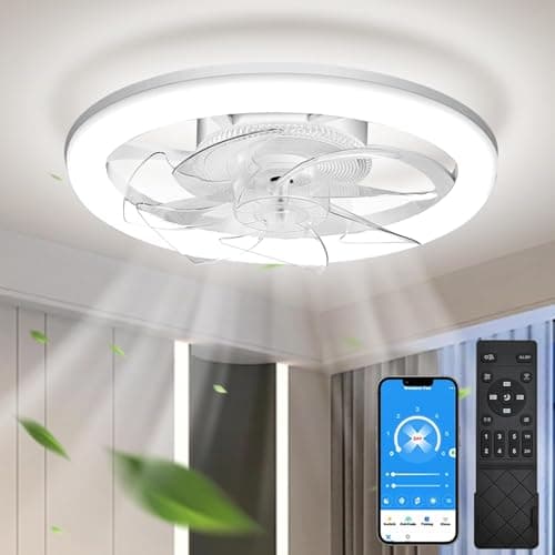 EKDADL Reversibile Ventilatore da Soffitto LED 50CM Dimmerabile Ventilatore a Soffitto con Luce 3 Colori 6 Velocità Silenzioso Lampadario con Ventilatore da Soffitto con Luce