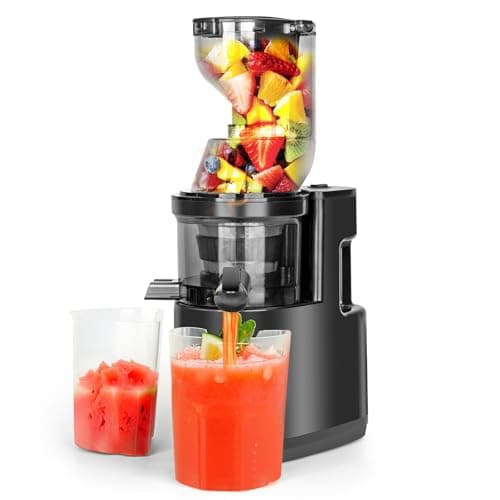 Estrattore frutta e verdura 500W, Rawhui Estrattore per frutta e verdura, spremiagrumi lento da 500 W con doppio tubo di alimentazione, volume di riempimento 1,2 L, 2 bicchieri, nero