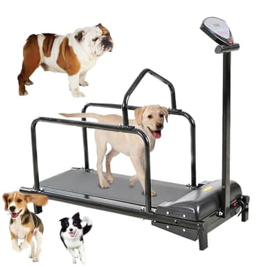Eastnmythet Tapis Roulant per Cani con Schermo di Visualizzazione, Tapis Roulant per Cani di Grossa Taglia/Media Taglia/Piccola Taglia, Supporta Fino a 176 Libbre/80 kg