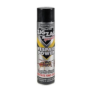 Zig Zag Specialist - Vespaio Power - Insetticida specifico per nidi di Vespe e Calabroni 600ml
