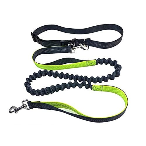 Aiqeer Grigio Guinzaglio Cani Mani Libere, Cintura in Vita Regolabile e Guinzaglio Elastico Retrattile, Guinzaglio Cani Jogging con Cuciture Riflettenti (Manico Verde)