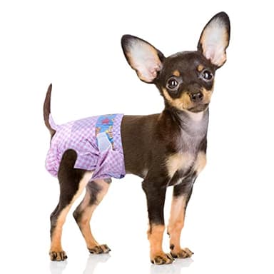 20 pannolini usa e getta per cani femmine, pannolini per incontinenza per cani femmine, pannolini per cani di taglia extra piccola per vita 20-36 cm XS