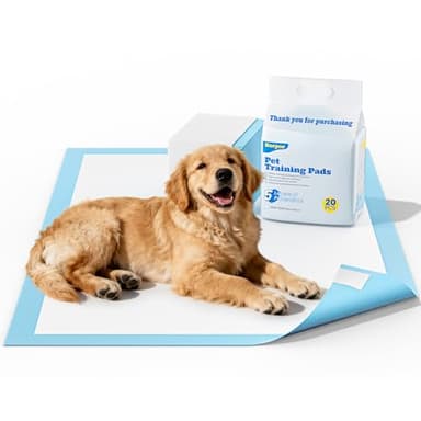 Barpor Traversine Cani 60x60cm Assorbenti - Tappetini Igienici per Cani 20 Pezzi Tappetino Cane Antiscivolo e Resistente Design a 5 Strati con Superficie ad Asciugatura Rapida