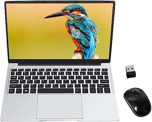 PC Portatile 14.1 Pollici FHD 1920 x 1080 Notebook 6 GB RAM 64 GB SSD W10 64 Bits, Supporta SD/TF 512 GB-1 TB, WiFi | Webcam | Bluetooth | HDMI, Con Mouse Wireless, Grigio