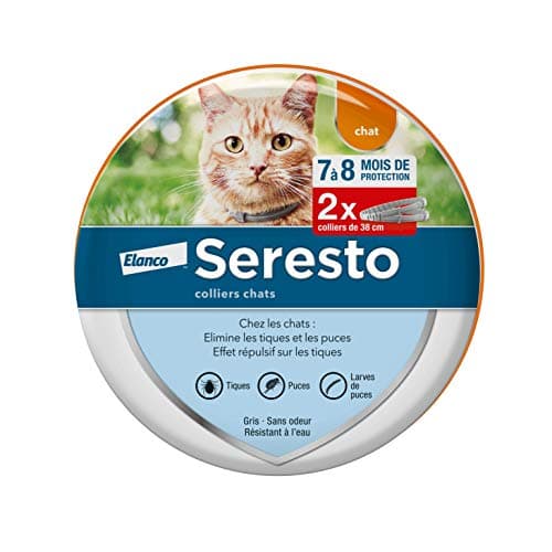 COLLANA GATTO SERESTO X2