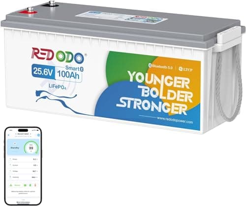 Redodo Bluetooth Batteria Litio 24V 100Ah,Batterie Lifepo4 con Protezione a Bassa Temperatura, BMS 100A, 2560Wh, Ricaricabile, Perfetta Batteria di Ricambio al Piombo per Camper, RV, Caravan