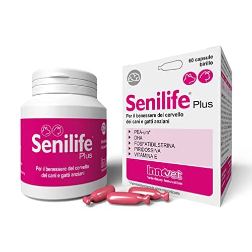Senilife® Plus, per il Benessere del Cervello dei Cani e Gatti anziani - migliora le funzioni cognitive e la memoria per un invecchiamento cerebrale di successo - 60 capsule birillo monodose