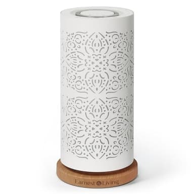 Earnest Living Diffusore senz'acqua per olio essenziale, 100 ml, sistema di diffusione nebulizzante, diffusore per aromaterapia, umidificatore a nebbia fredda, per camera da letto, casa, ufficio,