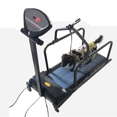 ZHIXUMM Tapis Roulant per Cani, Tapis Roulant per Cani di Taglia Grande, Tapis Roulant per Cani, Motore da 1,75 HP, Gamma di velocità 0,8-6 Km/H, Scelta Multipla, Carico Massimo 100 Kg/220 Libbre