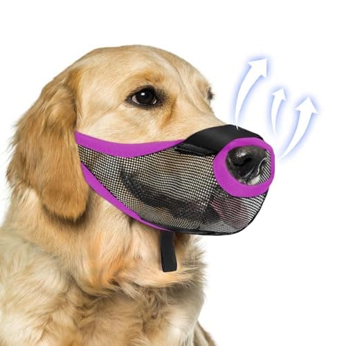 Museruola per Cani, Museruola Cane Taglia Grande, Impedisce di Masticare, Rosicchiare, abbaiare e Mordere, Tessuto Morbido Rete Traspirante Regolabile (Viola, XL)