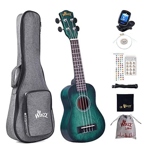 Winzz Ukulele Soprano Principianti Bambini Adulti 21 Pollici, Unico Blu-verde Ukulele Scuola Media Legno Kit 8 Accessori con: Adesivo per Tastiera, Carta degli Accordi