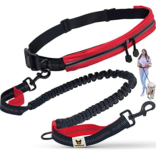 Hundefreund Guinzaglio per Correre con Chiusura in Vita Elastico da 120 fino a 180 cm per Cani Taglia Grande e Media | Guinzaglio Mani Libere | Per Correre, Jogging, Camminare, Andare in Bici