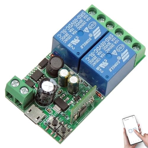 DieseRC Interruttore Intelligente Wi-Fi 2 canali Modulo Relè di Uscita Passivo DC 5V 12V 24V 36V Controllo WIFI APP Ewelink compatibile con Alexa/Google Home, interruttore a impulsi/autobloccante