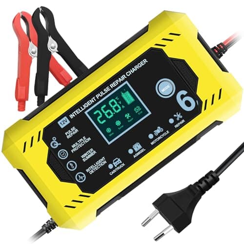 Caricabatterie per Auto, YOYOPOW Carica Batteria Manutentore per Auto e Moto 6A/12V Caricatore Portatile con Intelligente Schermo LCD per Caricare e Riparare Batterie al Piombo-Acido