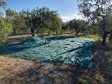 OEM SYSTEMS - Rete per la Raccolta degli Olive, Senza Apertura, antispine, con angolari rinforzati, Leggero, stabilizzato, Potere insetticida, Dimensioni: 8 x 8 m, Colore: Verde