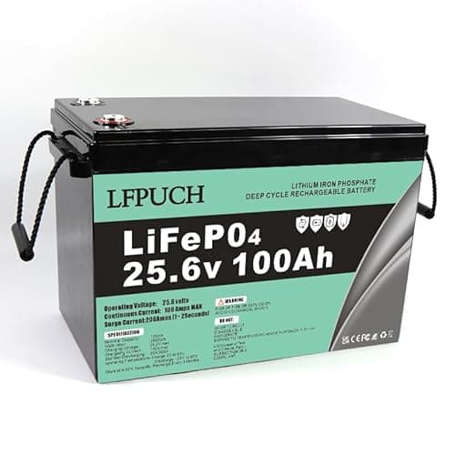 Batteria LiFePO4 24V 100Ah, batteria al litio ferro fosfato invece della batteria AGM per auto o batteria a ciclo profondo, per camper, barca, sistema solare, campeggio all'aperto, ecc.