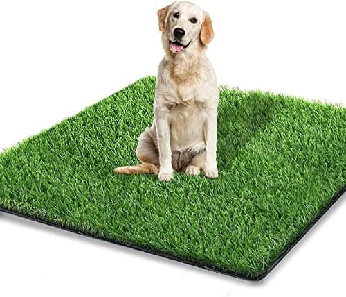 STARROAD-TIM Tappeto erboso Artificiale per Cani per Interni ed Esterni, Erba Finta per Cani, vasino, Area di Addestramento, Patio, Prato Inglese, Dimensioni 80 x 100 cm