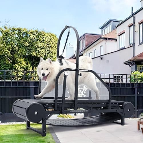 Tapis roulant per cani di taglia grande e media, rampa regolabile con pedometro, per esercizio fisico e vita sana e in forma, usato in casa fino a 136 kg